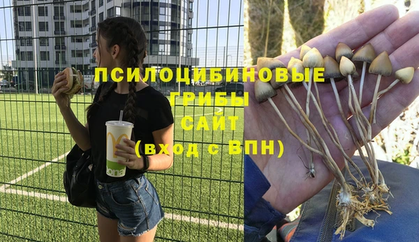винт Верея