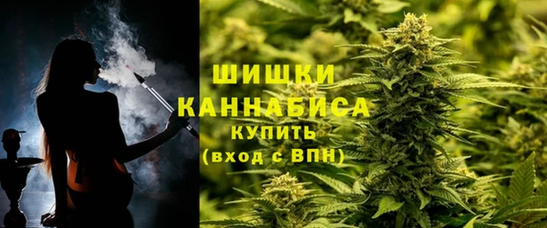 винт Верея